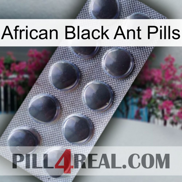 African Black Ant Pills 30.jpg